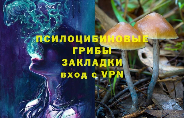 гидропоника Алзамай