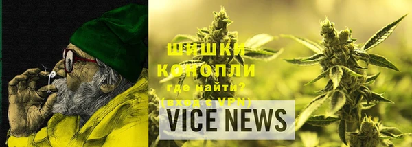гидропоника Алзамай