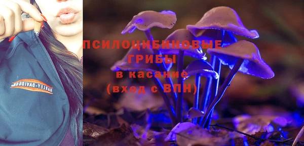 дживик Алексин